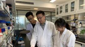 發(fā)現(xiàn)新蛋白！我省一研究成果首次入選“中國高等學(xué)校...