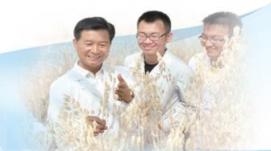 中國(guó)科學(xué)家成功破譯裸燕麥基因密碼
