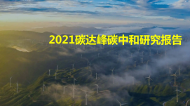教育部關(guān)于印發(fā)《加強碳達峰碳中和高等教育 人才培...