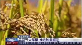 我國將深入實施種業(yè)基地提升行動